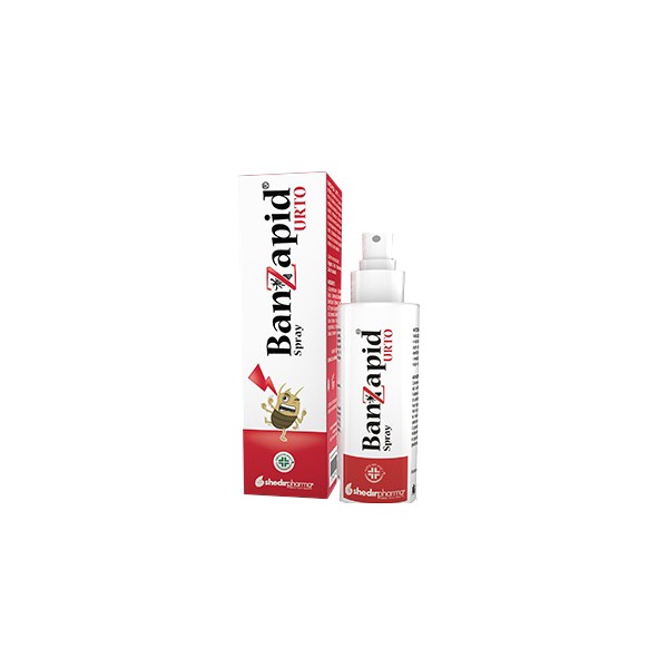 BANZAPID SPR TRATTAMENTO 100ML
