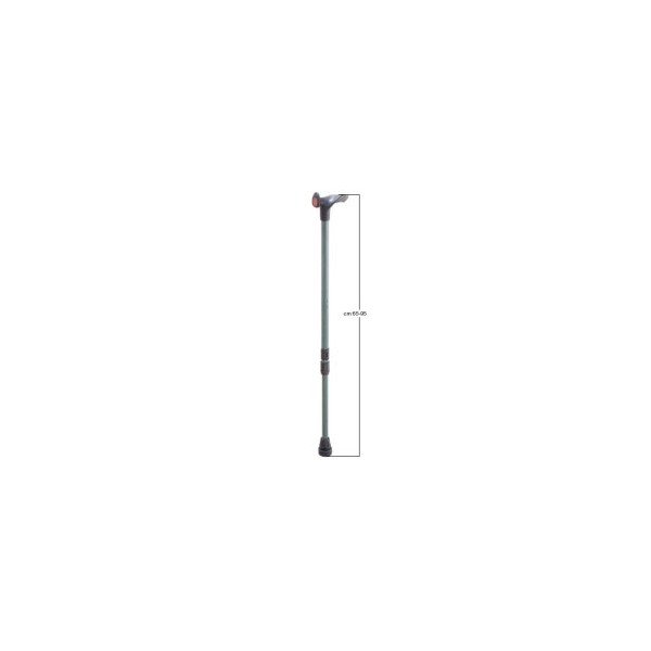 BASTONE IMPUGN PALM DX