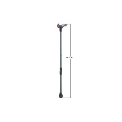 BASTONE IMPUGN PALM DX