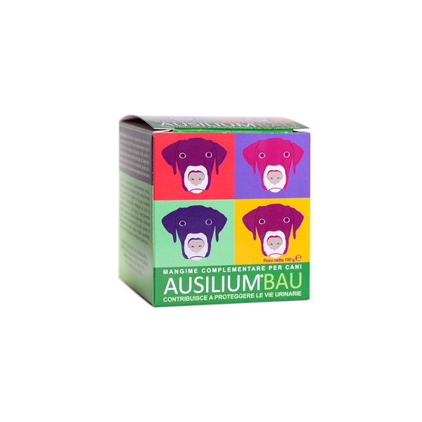 AUSILIUM BAU 100G