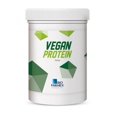 VEGAN PROTEIN 500G