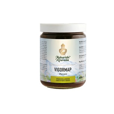 VIGORMAP PASTA 600G